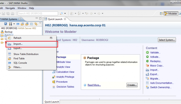 HOWTO – Import SFLIGHT sample data into HANA