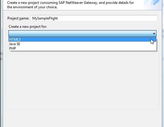 How to create SAPUI5 application consuming Gateway service