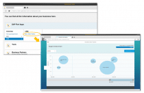 Frequently Asked Questions – SAP NetWeaver Business Client