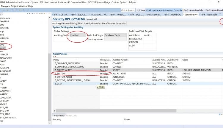 SAP HANA Content Security Roles Setup
